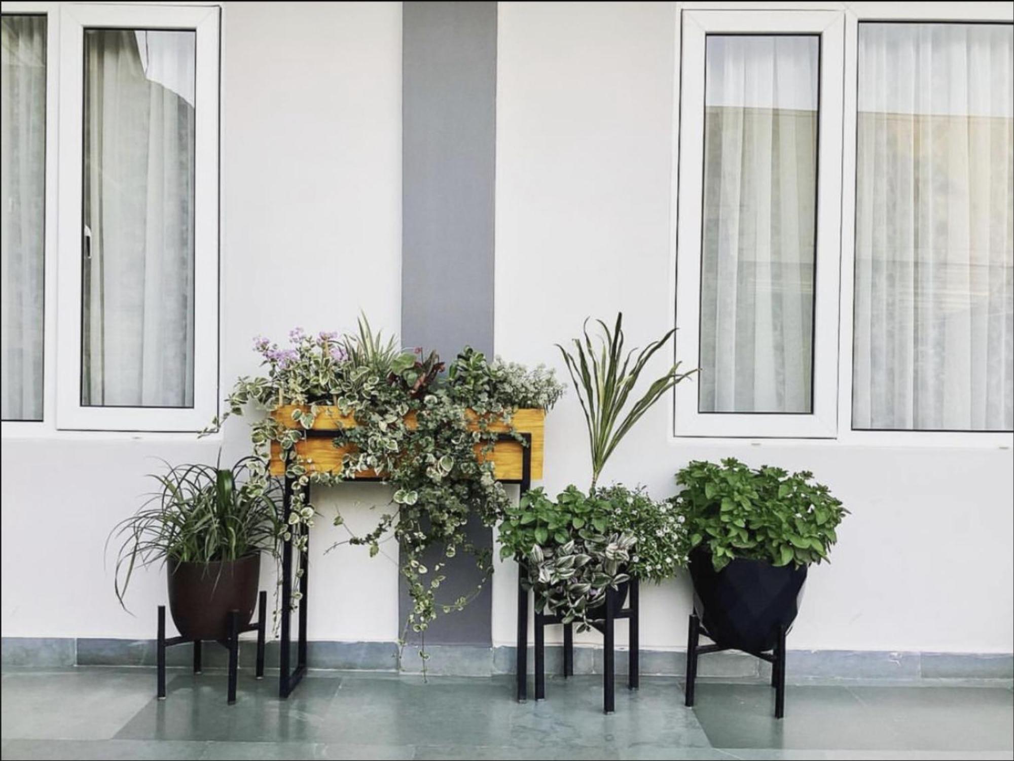 Bed and Breakfast Magen Hills Ukhrul Exterior foto